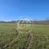 Loturi de Casa pe malul Lacului Creața, Dascălu – 460 mp + Drum servitute imaginea mica 5 Loturi de Casa pe malul Lacului Creața, Dascălu – 460 mp + Drum servitute thumb 5