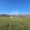 Loturi de Casa pe malul Lacului Creața, Dascălu – 460 mp + Drum servitute imaginea mica 8 Loturi de Casa pe malul Lacului Creața, Dascălu – 460 mp + Drum servitute thumb 8
