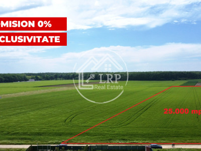 ✨OPORTUNITATE INVESTIȚIE:Teren intravilan 25.000mp Dascălu-Pădure, parcelabil✨