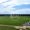 ✨OPORTUNITATE INVESTIȚIE:Teren intravilan 25.000mp Dascălu-Pădure, parcelabil✨ thumb 5