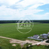 ✨OPORTUNITATE INVESTIȚIE:Teren intravilan 25.000mp Dascălu-Pădure, parcelabil✨ thumb 7
