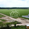 ✨OPORTUNITATE INVESTIȚIE:Teren intravilan 25.000mp Dascălu-Pădure, parcelabil✨ thumb 8