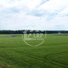 ✨OPORTUNITATE INVESTIȚIE:Teren intravilan 25.000mp Dascălu-Pădure, parcelabil✨ thumb 9