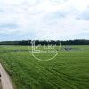 ✨OPORTUNITATE INVESTIȚIE:Teren intravilan 25.000mp Dascălu-Pădure, parcelabil✨ thumb 10