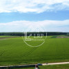 ✨OPORTUNITATE INVESTIȚIE:Teren intravilan 25.000mp Dascălu-Pădure, parcelabil✨ thumb 12
