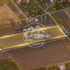 ✨OPORTUNITATE INVESTIȚIE:Teren intravilan 25.000mp Dascălu-Pădure, parcelabil✨ thumb 2