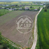 Oportunitate Investiție:10.400mp pe Malul Lacului Creața(posibilitate parcelare) thumb 10
