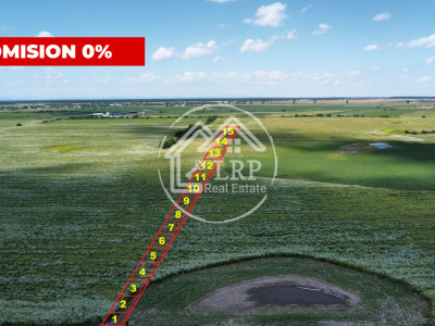 Teren Intravilan 9.918 mp Creața Dascălu, T66– Parcelabil