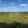 Teren Intravilan 9.918 mp Creața Dascălu, T66– Parcelabil thumb 6