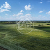 Teren Intravilan 9.918 mp Creața Dascălu, T66– Parcelabil thumb 8