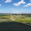 Teren Intravilan 9.918 mp Creața Dascălu, T66– Parcelabil thumb 10