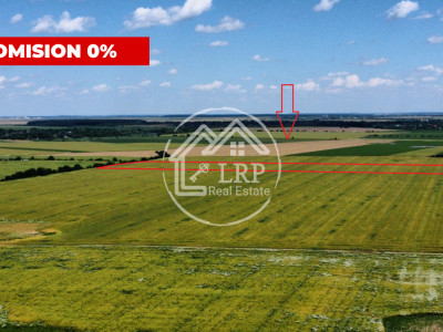Teren Intravilan 20.000 mp Creața Dascălu, T66– dubla deschidere