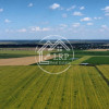 Teren Intravilan 20.000 mp Creața Dascălu, T66– dubla deschidere imaginea mica 3 Teren Intravilan 20.000 mp Creața Dascălu, T66– dubla deschidere thumb 3