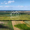 Teren Intravilan 20.000 mp Creața Dascălu, T66– dubla deschidere imaginea mica 4 Teren Intravilan 20.000 mp Creața Dascălu, T66– dubla deschidere thumb 4