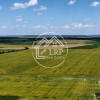 Teren Intravilan 20.000 mp Creața Dascălu, T66– dubla deschidere imaginea mica 5 Teren Intravilan 20.000 mp Creața Dascălu, T66– dubla deschidere thumb 5