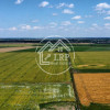 Teren Intravilan 20.000 mp Creața Dascălu, T66– dubla deschidere imaginea mica 6 Teren Intravilan 20.000 mp Creața Dascălu, T66– dubla deschidere thumb 6