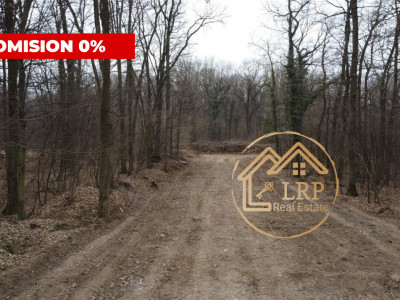 Dragomiresti Vale-Padure-teren intravilan, certificat urbanism 2025