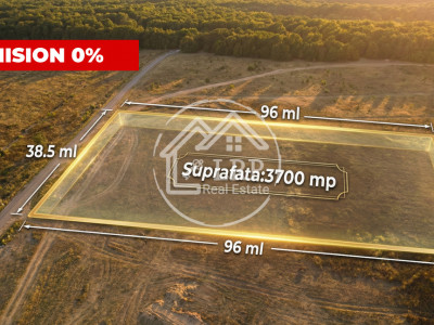 ✨Teren Voluntari-Pipera | 3.700mp | Zonă Pădure & Școli Internaționale✨