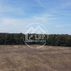 ✨Teren Voluntari-Pipera | 3.700mp | Zonă Pădure & Școli Internaționale✨ thumb 8