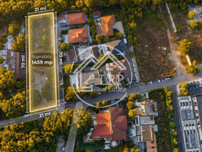 ✨Teren Băneasa - Stejarii | Ideal Bloc Boutique S+P+3E | Liniște & Exclusivism✨