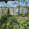 23 August/Parc-Lac Pantelimon - casa 3 camere, teren 280mp, dubla deschidere thumb 17