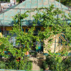 23 August/Parc-Lac Pantelimon - casa 3 camere, teren 280mp, dubla deschidere thumb 42